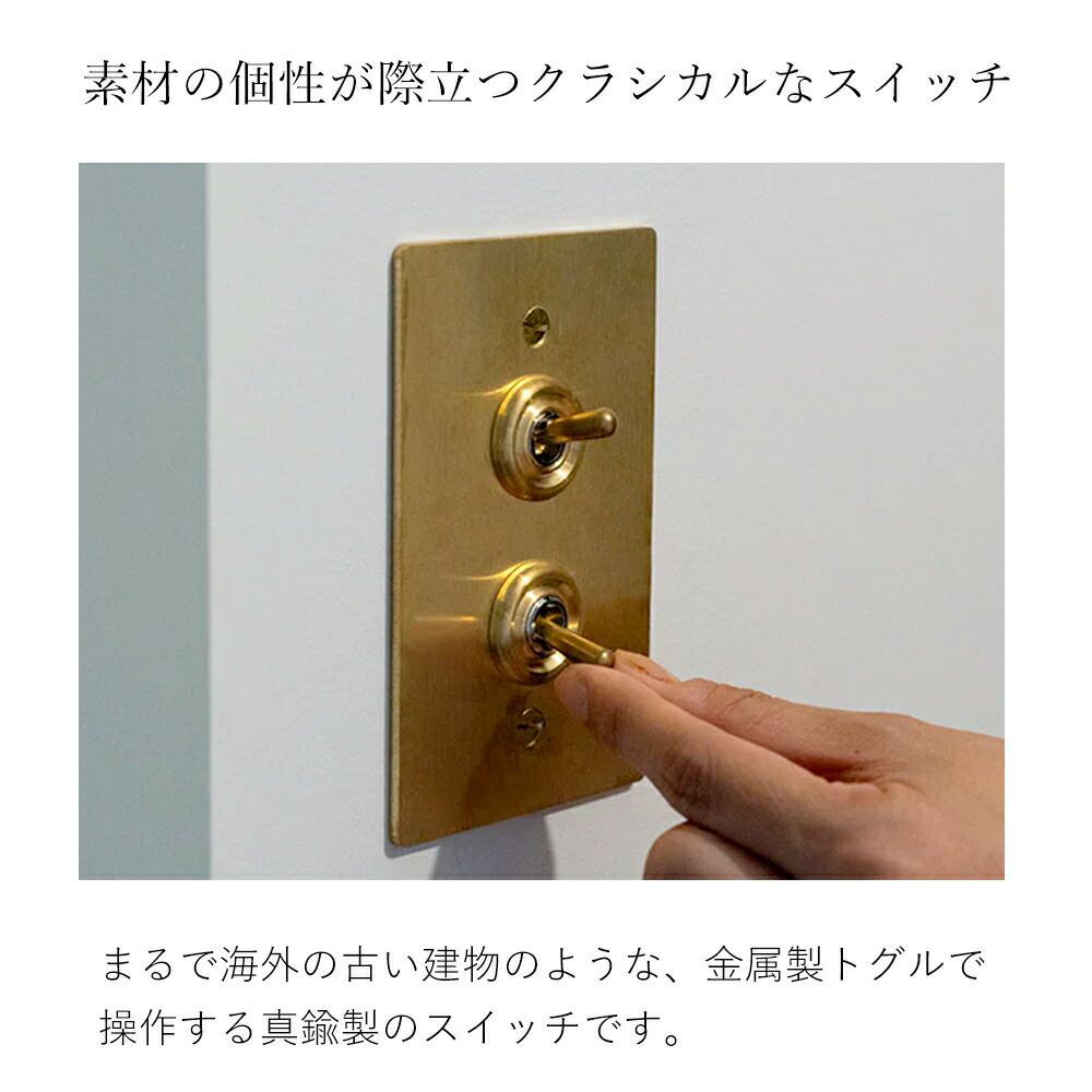 真鍮プレート 2スイッチ アクシス（AXCIS） | ヤマソロ公式