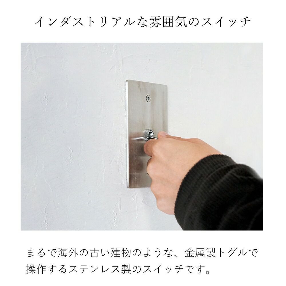 ステンレスプレート スイッチ アクシス（AXCIS） | ヤマソロ公式