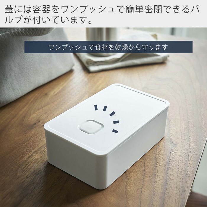 専用 高橋道八 魚型皿 箱付 長さ23.3㎝東Y7-0403☆1Fタサコサ