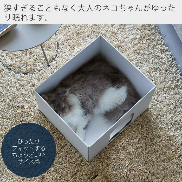 長崎２５の２２づめ２箱 増田桐箱店 桐箱 LLサイズ W38.8cm×D28.8cm×H15.2cm 長方形 木箱