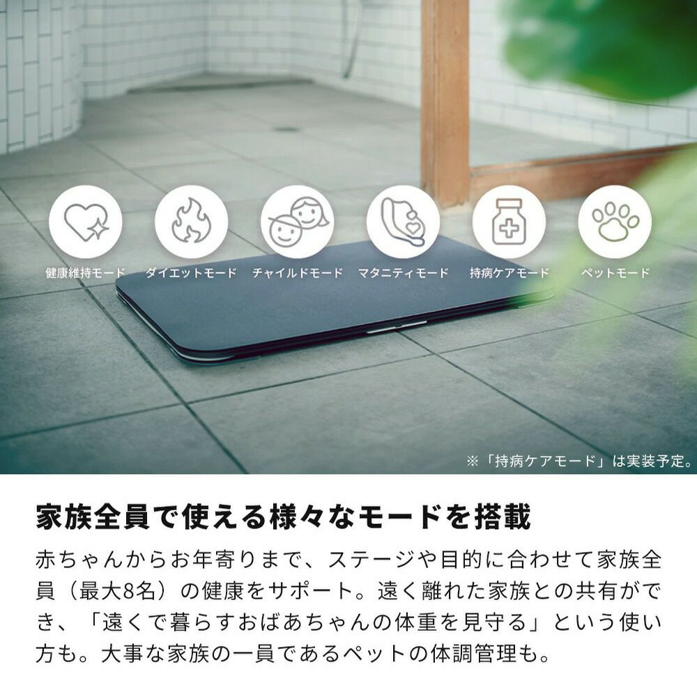 issin 取替用ソフト珪藻土マット | ヤマソロ公式