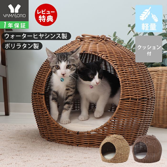 家毎まとめて断捨離すると！？様専用♡ミネルヴァシャンパン