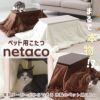 yamasoro,ヤマソロ