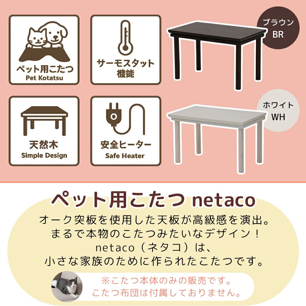 yamasoro,ヤマソロ