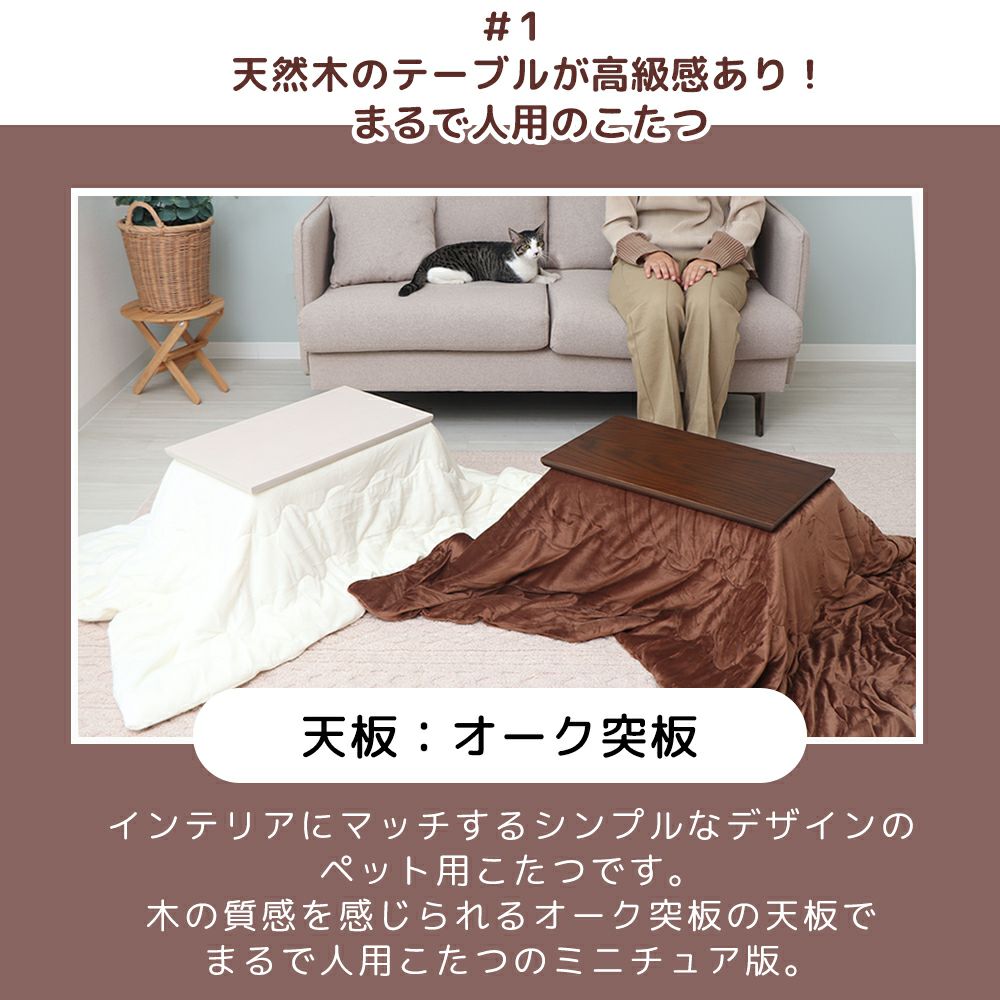 yamasoro,ヤマソロ