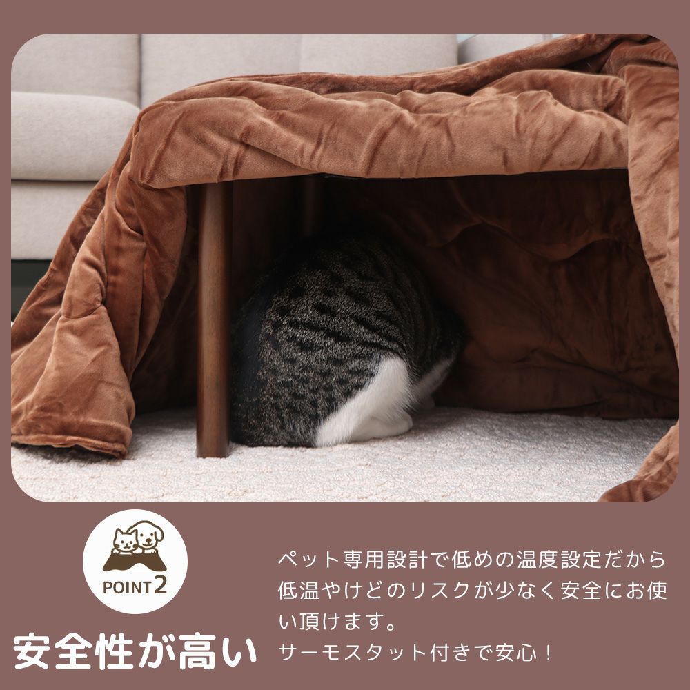 yamasoro,ヤマソロ