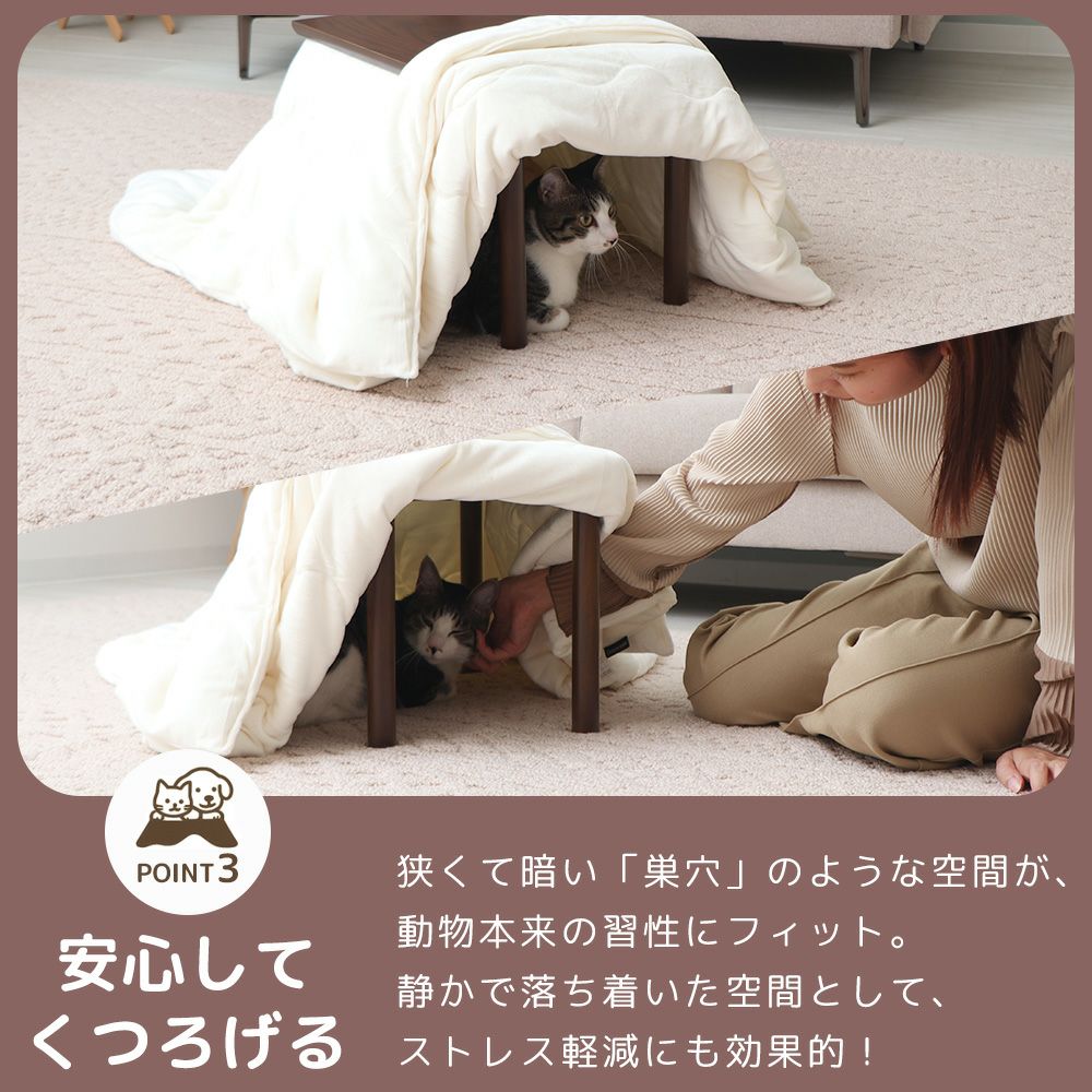 yamasoro,ヤマソロ