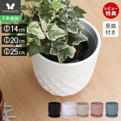 植木鉢Φ14 Φ20 Φ25 crescere クレッシェル ヤマソロ | ヤマソロ公式